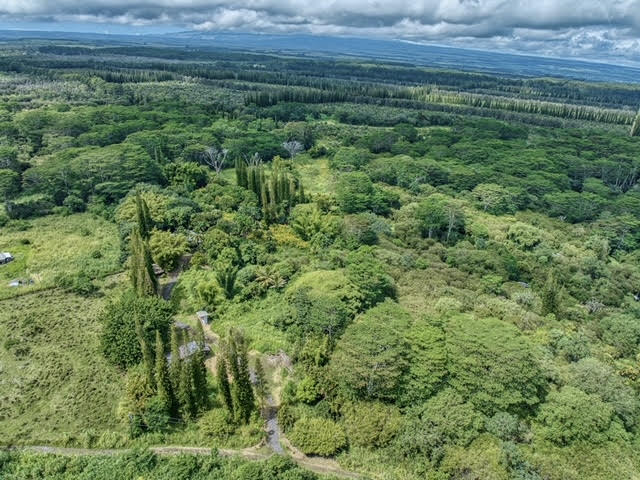 a view of a field of grass and trees