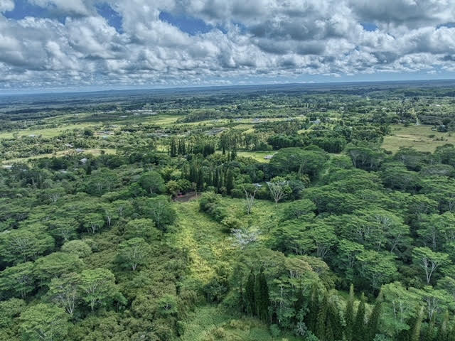 17-406 13 Mile Road Kurtistown, HI 96749 - Photo 2 of 29 a view of a field of grass and trees