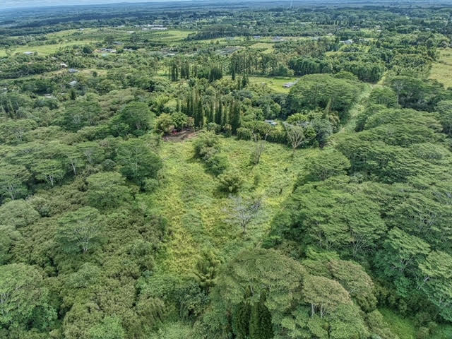 17-406 13 Mile Road Kurtistown, HI 96749 - Photo 3 of 29 a view of a lush green forest