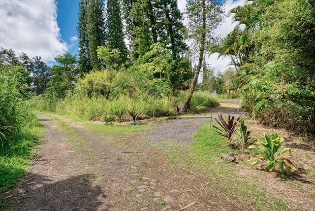 17-406 13 Mile Road Kurtistown, HI 96749 - Photo 4 of 29 a view of a yard with a tree