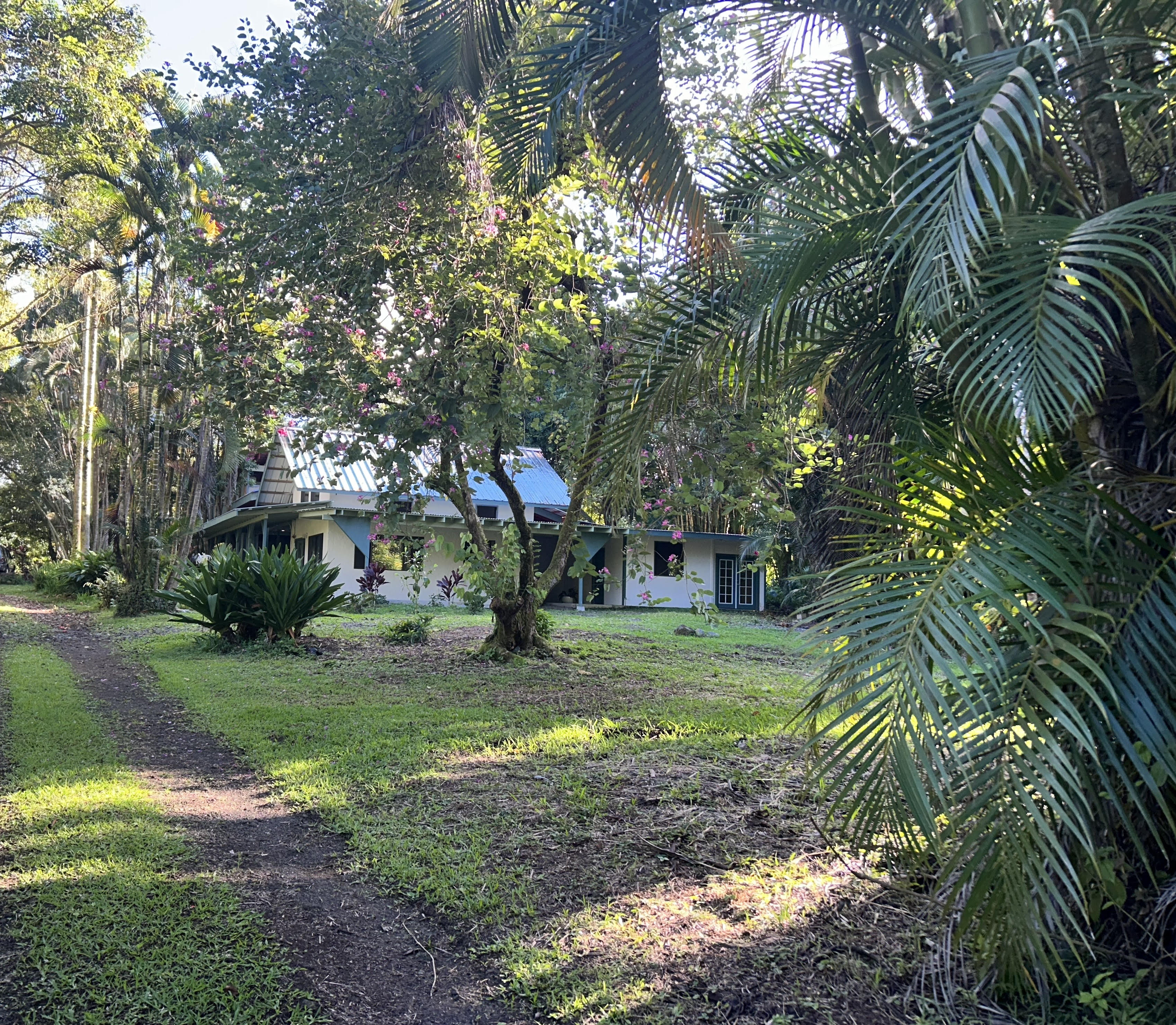 17-406 13 Mile Road Kurtistown, HI 96749 - Photo 6 of 29 a view of a backyard with green space