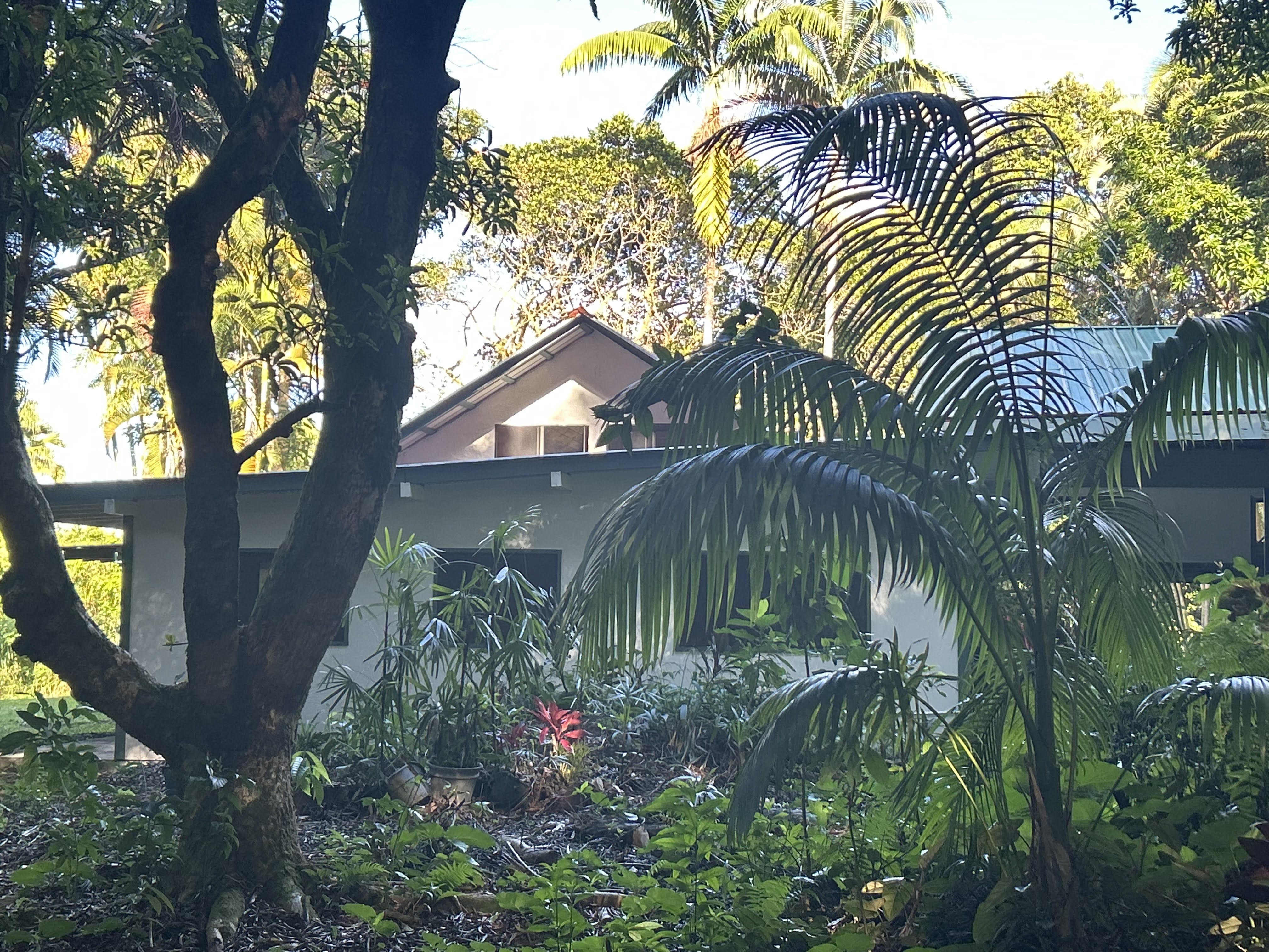 17-406 13 Mile Road Kurtistown, HI 96749 - Photo 8 of 29 a backyard of a house with lots of green space