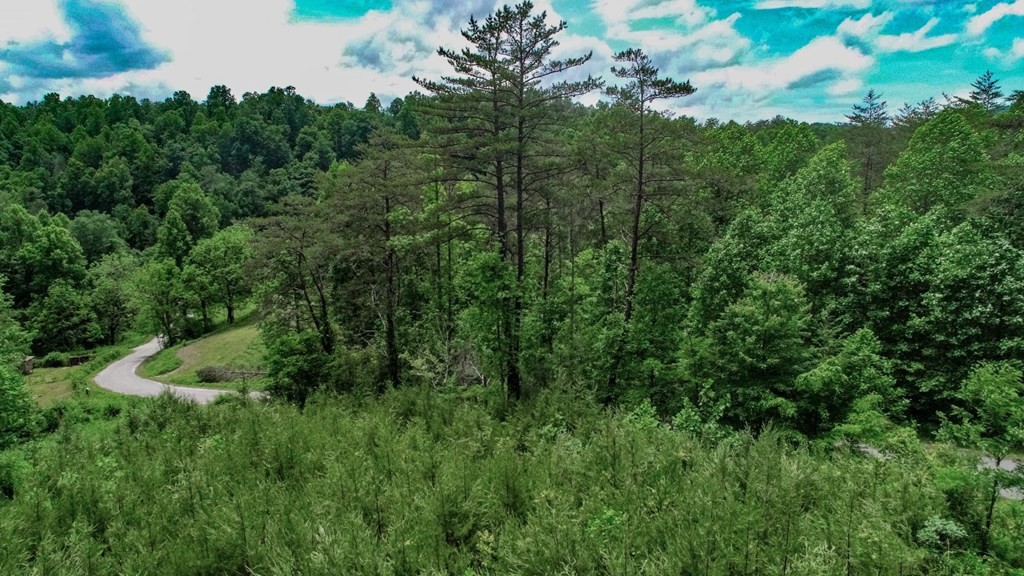 2930 Raven Branch Road Del Rio, TN 37727 - Photo 3 of 22 Gallery Image 3