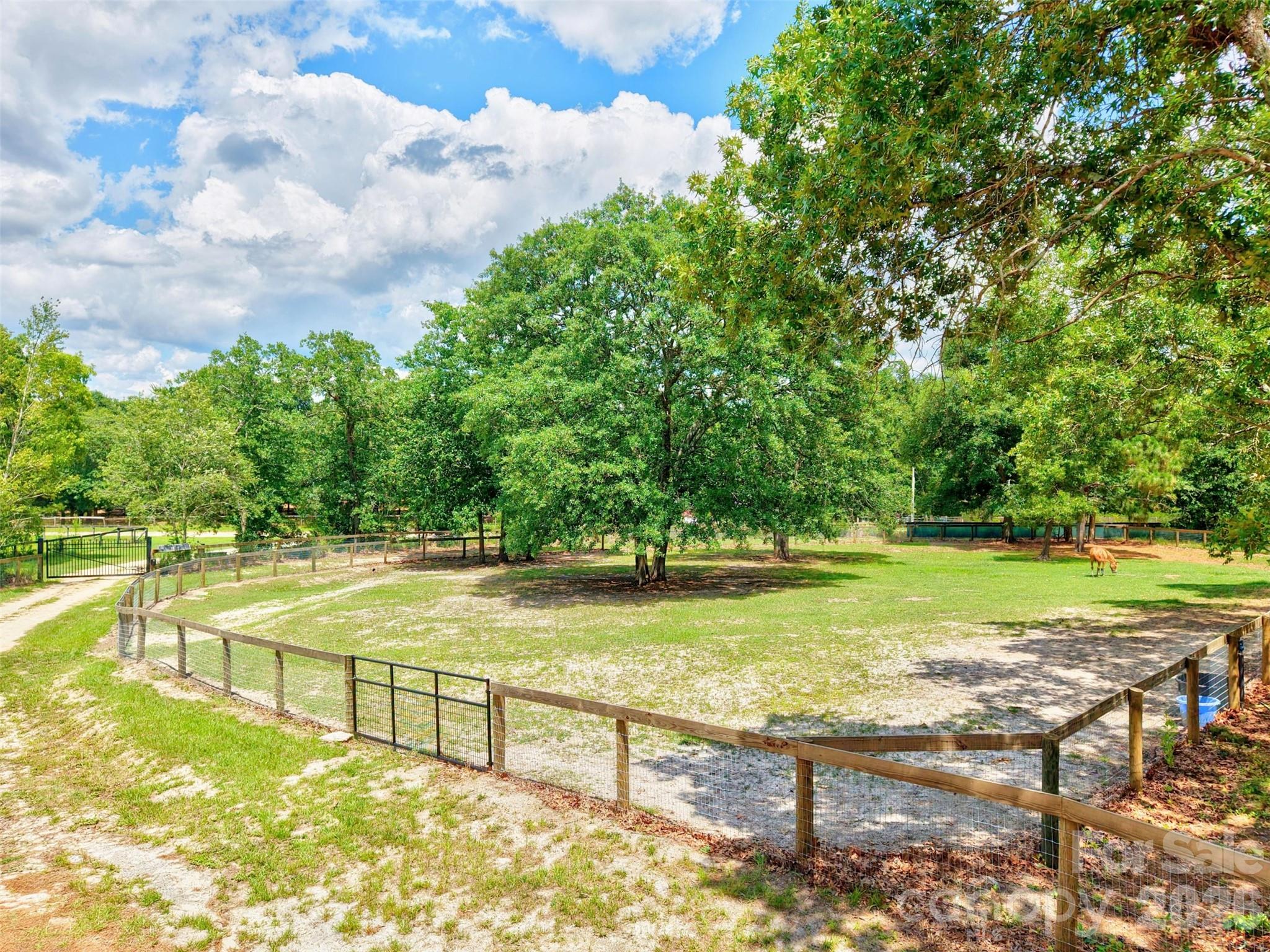 1377 Pine Road Camden, SC 29020 - Photo 20 of 48 Gallery Image 20