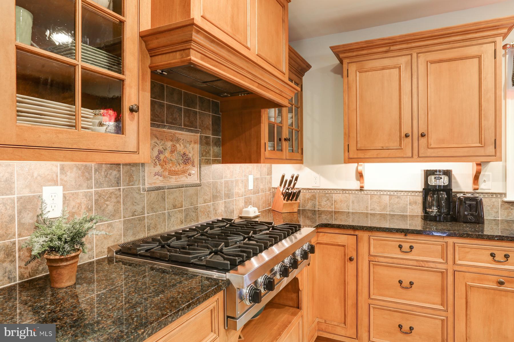 55 Carriage Road Palmyra, PA 17078 - Photo 11 of 50 Viking Gas Range