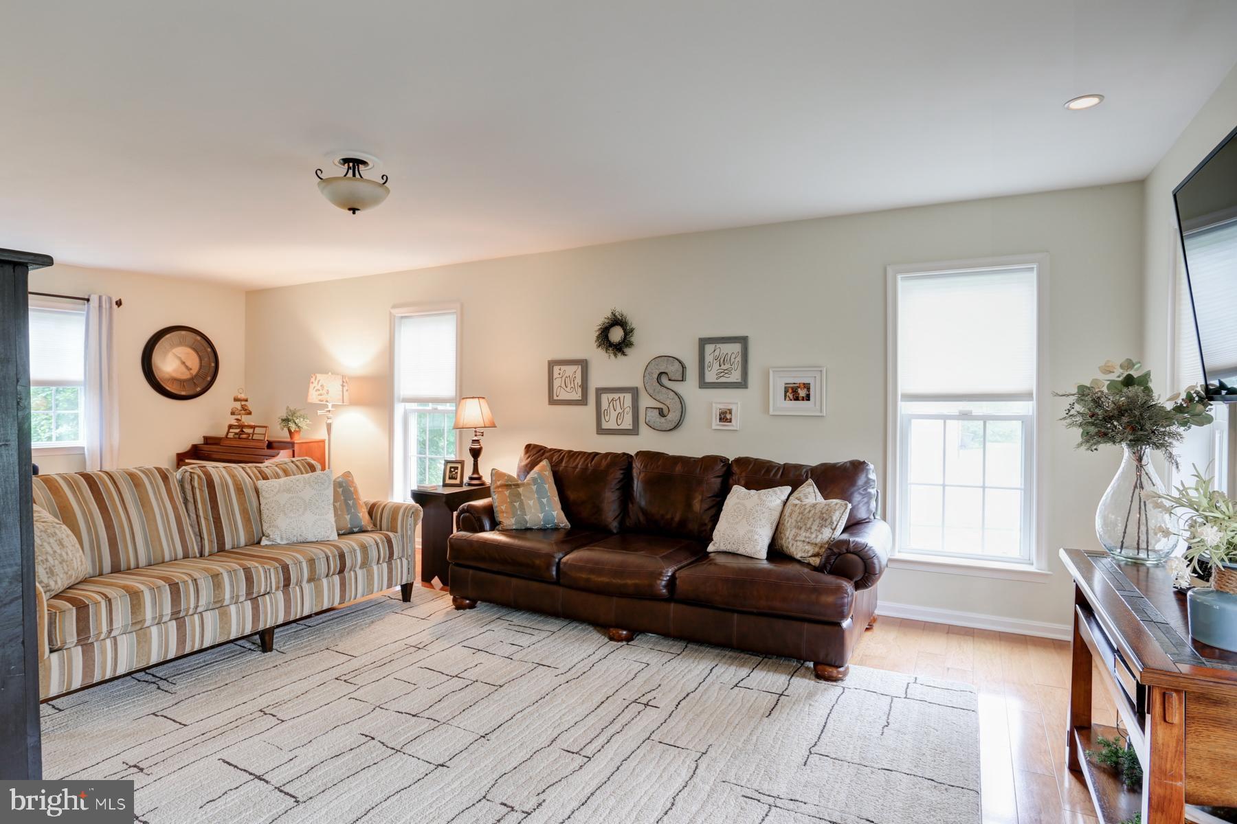 55 Carriage Road Palmyra, PA 17078 - Photo 19 of 50 Over-sized Living Room