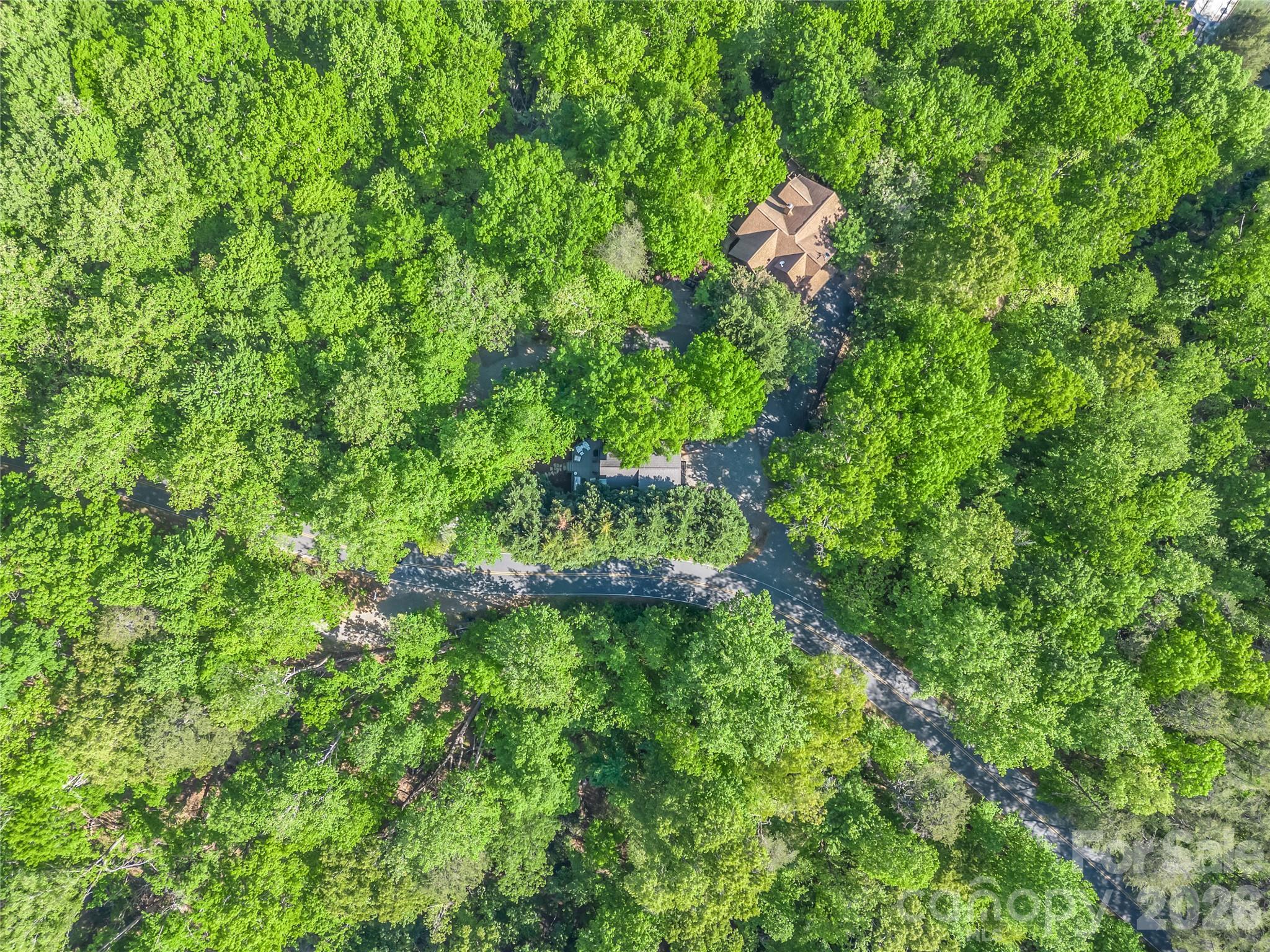 105 Sunset Cove Road Lake Lure, NC 28746 - Photo 41 of 44
