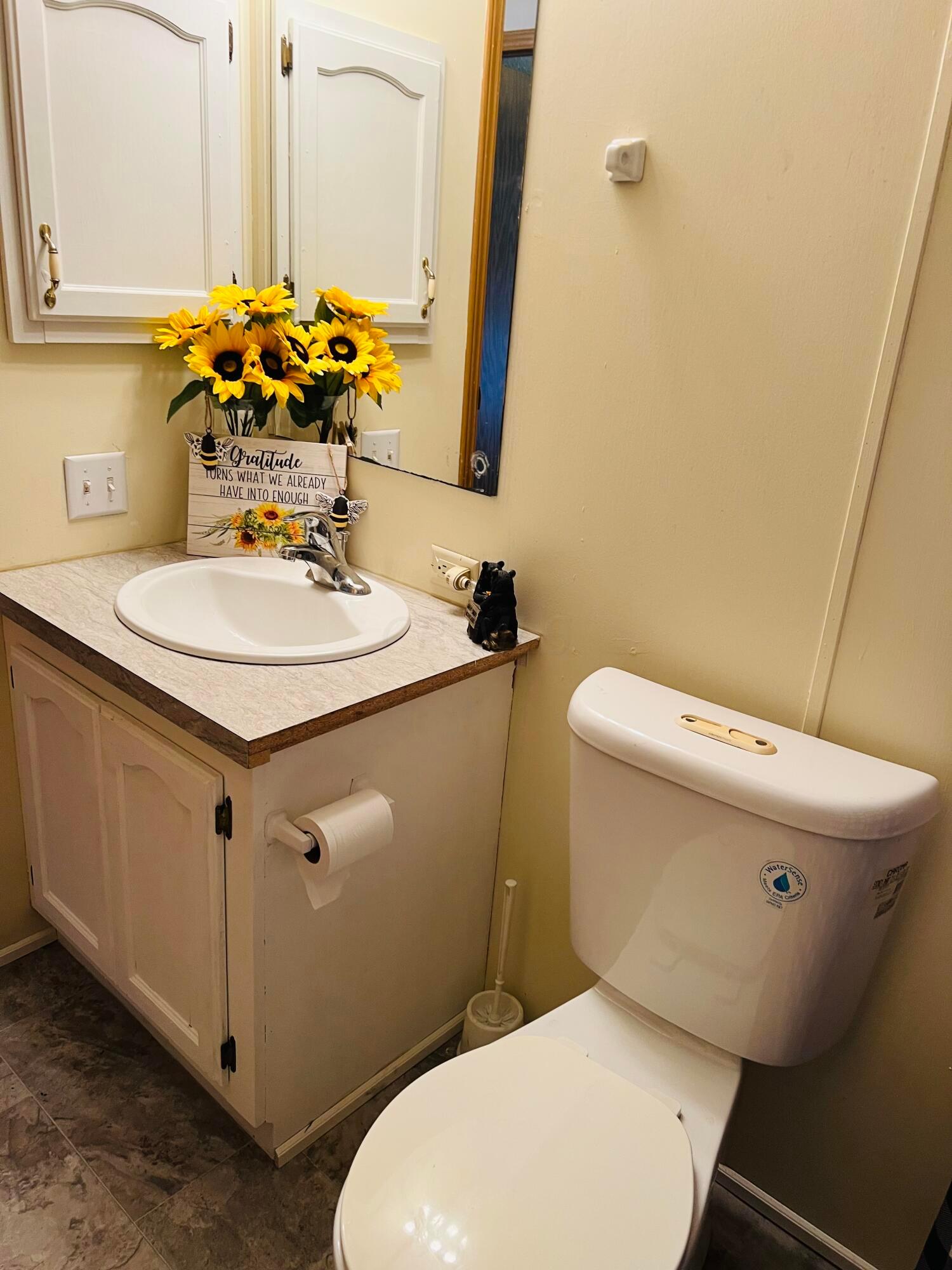 36362 Lime Bank Road Logan, OH 43138 - Photo 28 of 47 Since and commode