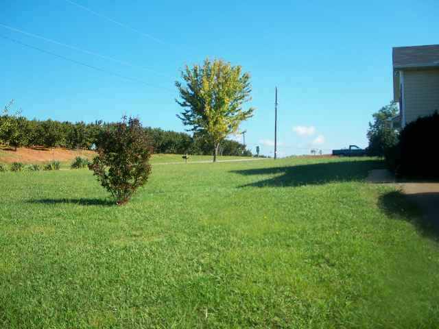 2815 Fairfield Road Chesnee, SC 29323 - Photo 6 of 9