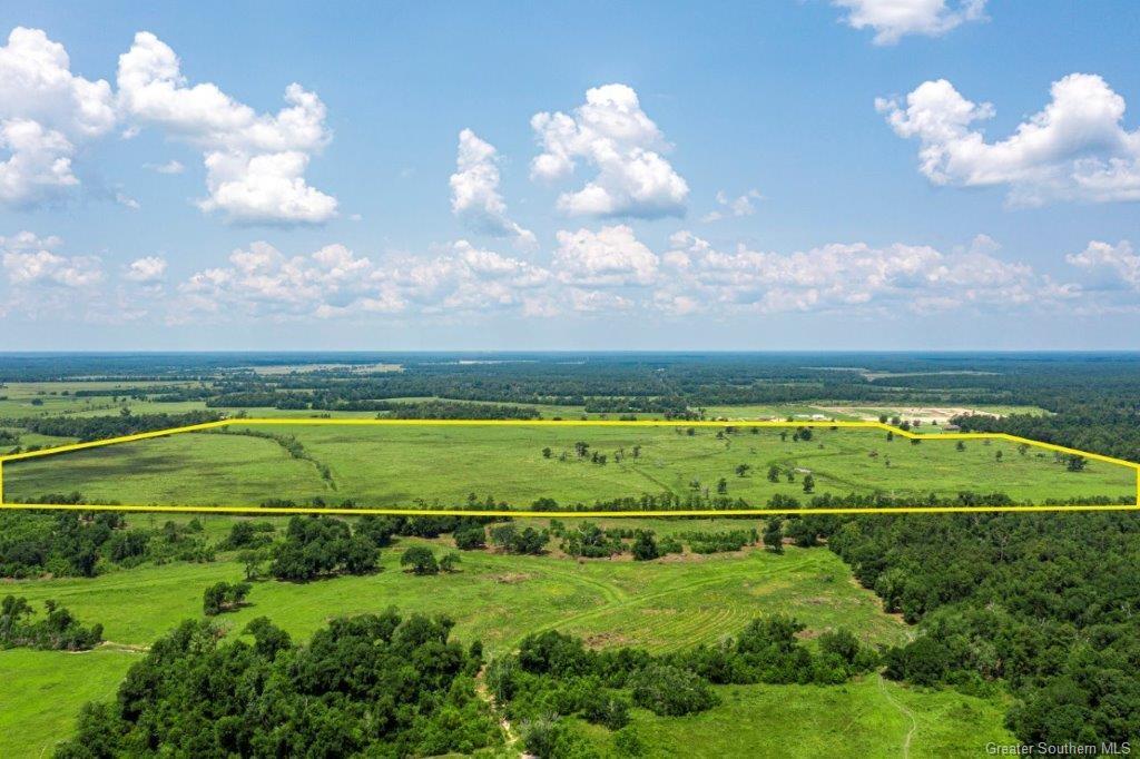 0 Bigwoods Vinton Road Vinton, LA 70668 - Photo 3 of 6