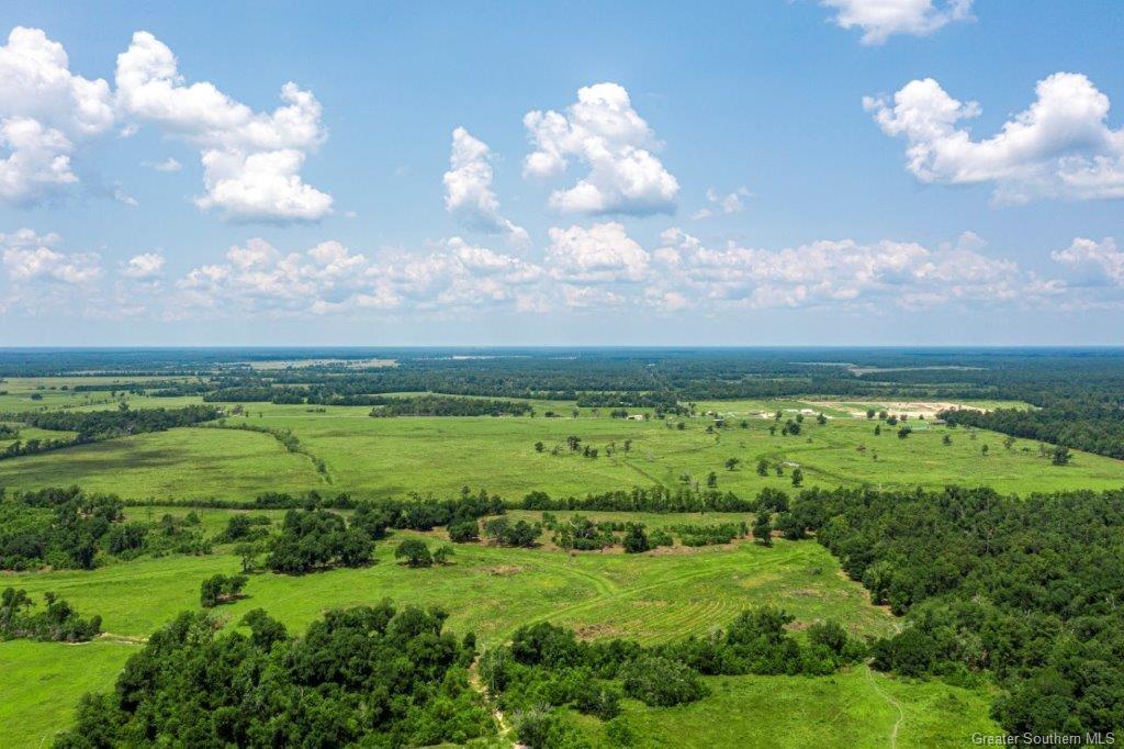 0 Bigwoods Vinton Road Vinton, LA 70668 - Photo 4 of 6