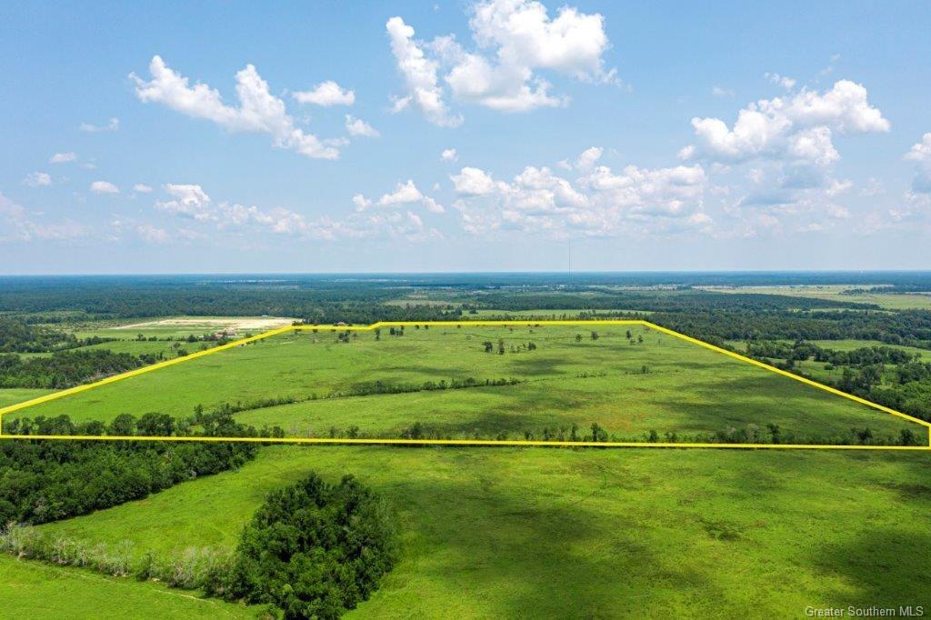 0 Bigwoods Vinton Road Vinton, LA 70668 - Photo 5 of 6