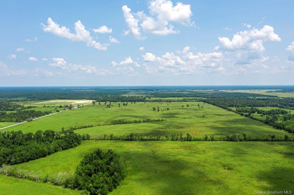 0 Bigwoods Vinton Road Vinton, LA 70668 - Photo 6 of 6