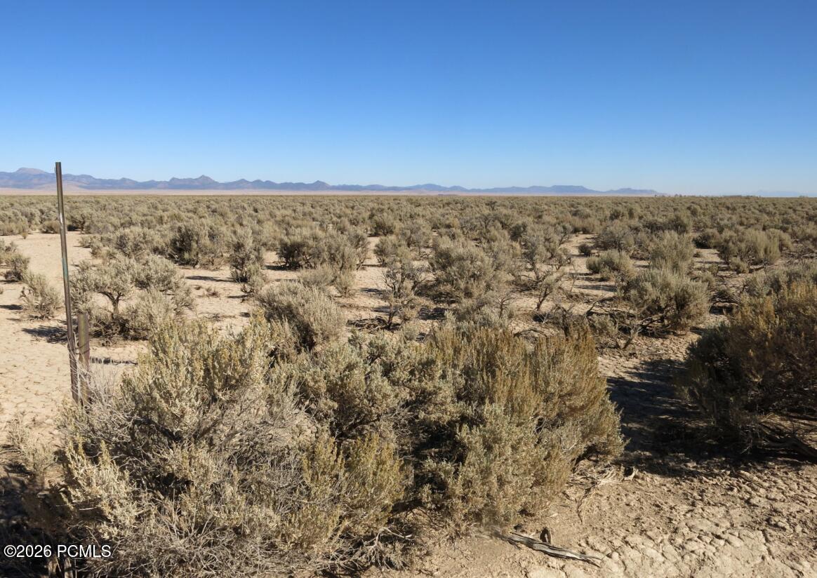 80-acres Cougar Road Beryl, UT 84714 - Photo 6 of 14