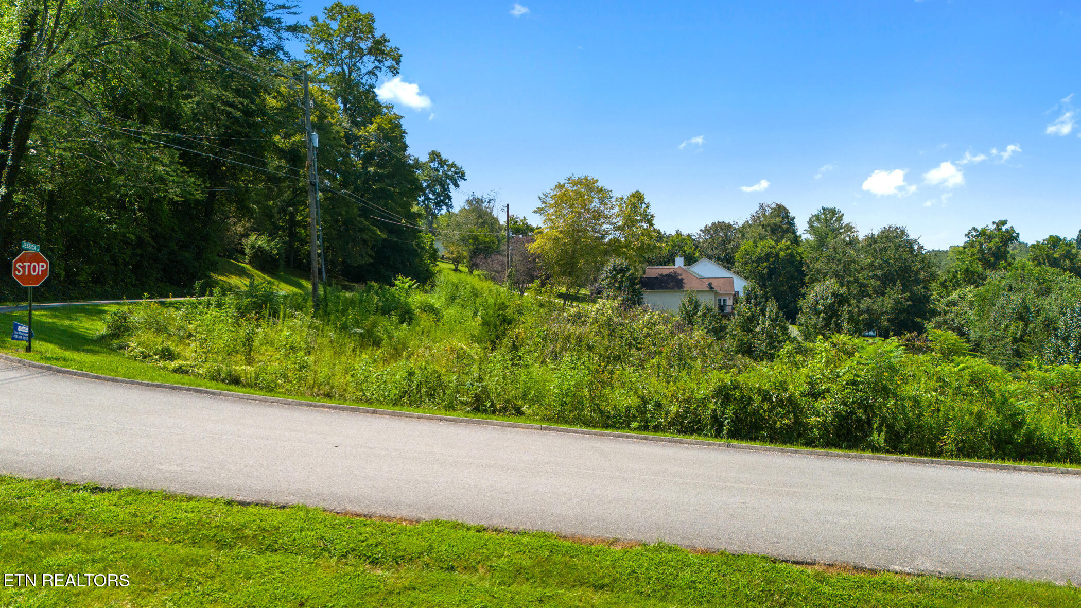 Lot 8 Farmers Hollow Road Clinton, TN 37716 - Photo 7 of 10 dji_20250821133508_0930_d