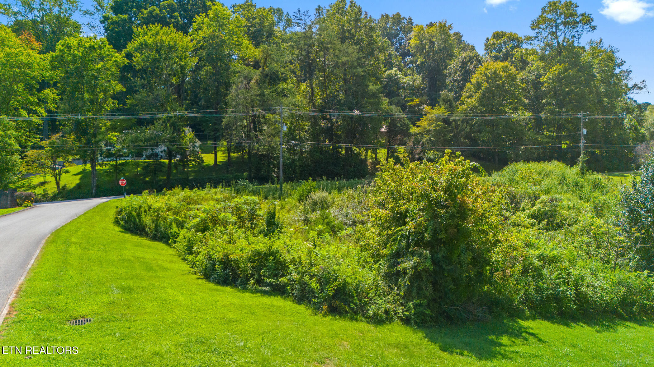 Lot 8 Farmers Hollow Road Clinton, TN 37716 - Photo 8 of 10 dji_20250821133522_0933_d