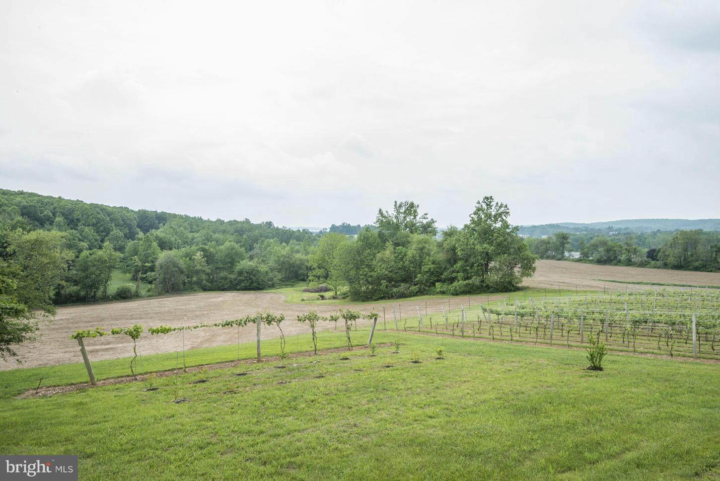 2427 Ebbvale Road Manchester, MD 21102 - Photo 23 of 28 Vineyards