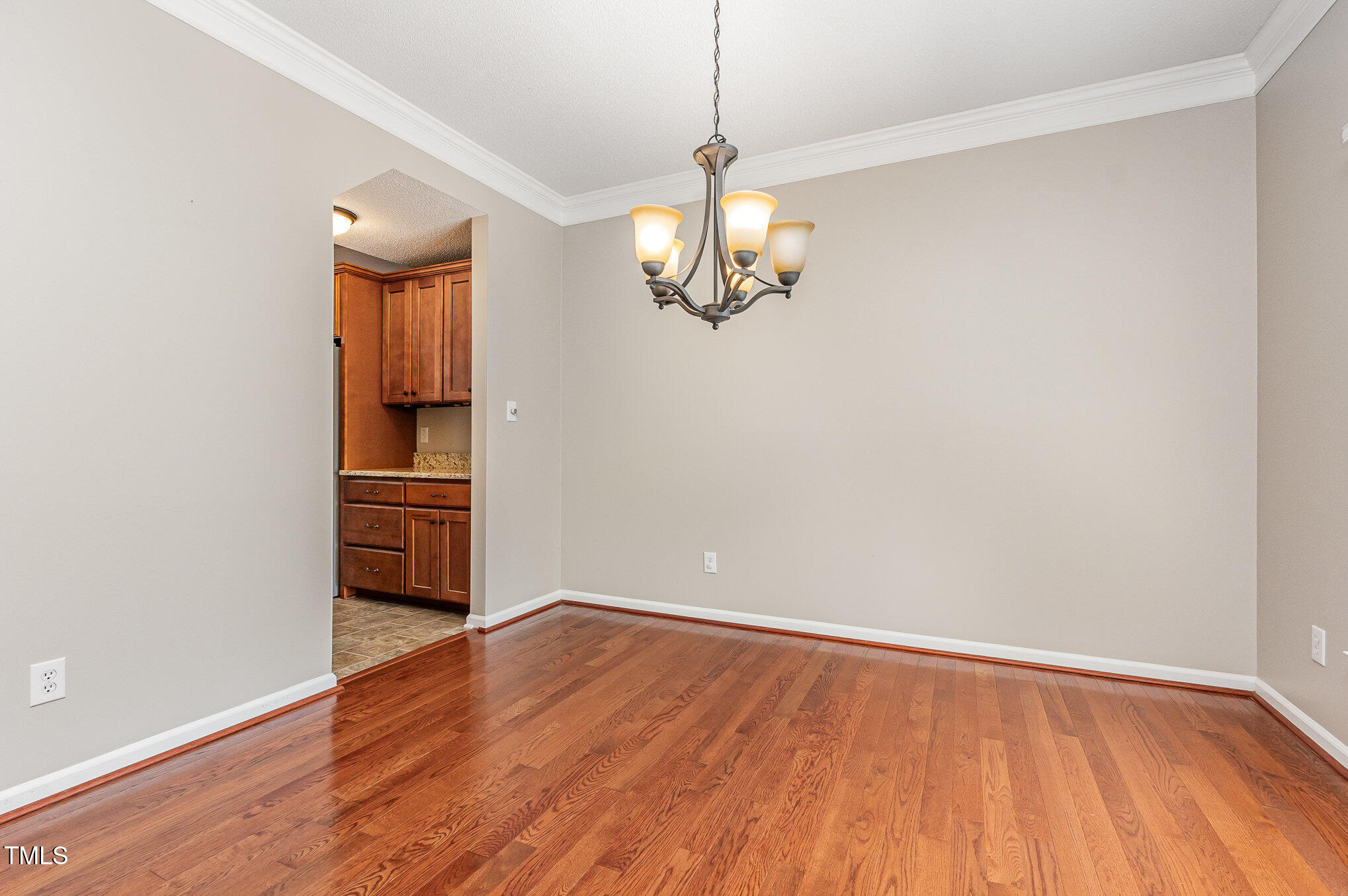 9308 Carisbrook Court Raleigh, NC 27615 - Photo 8 of 24 005_cj4a0774-edit_739