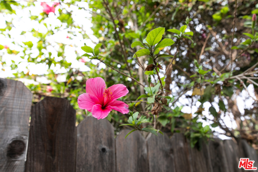 5122 Raphael Street Los Angeles, CA 90042 - Photo 33 of 37