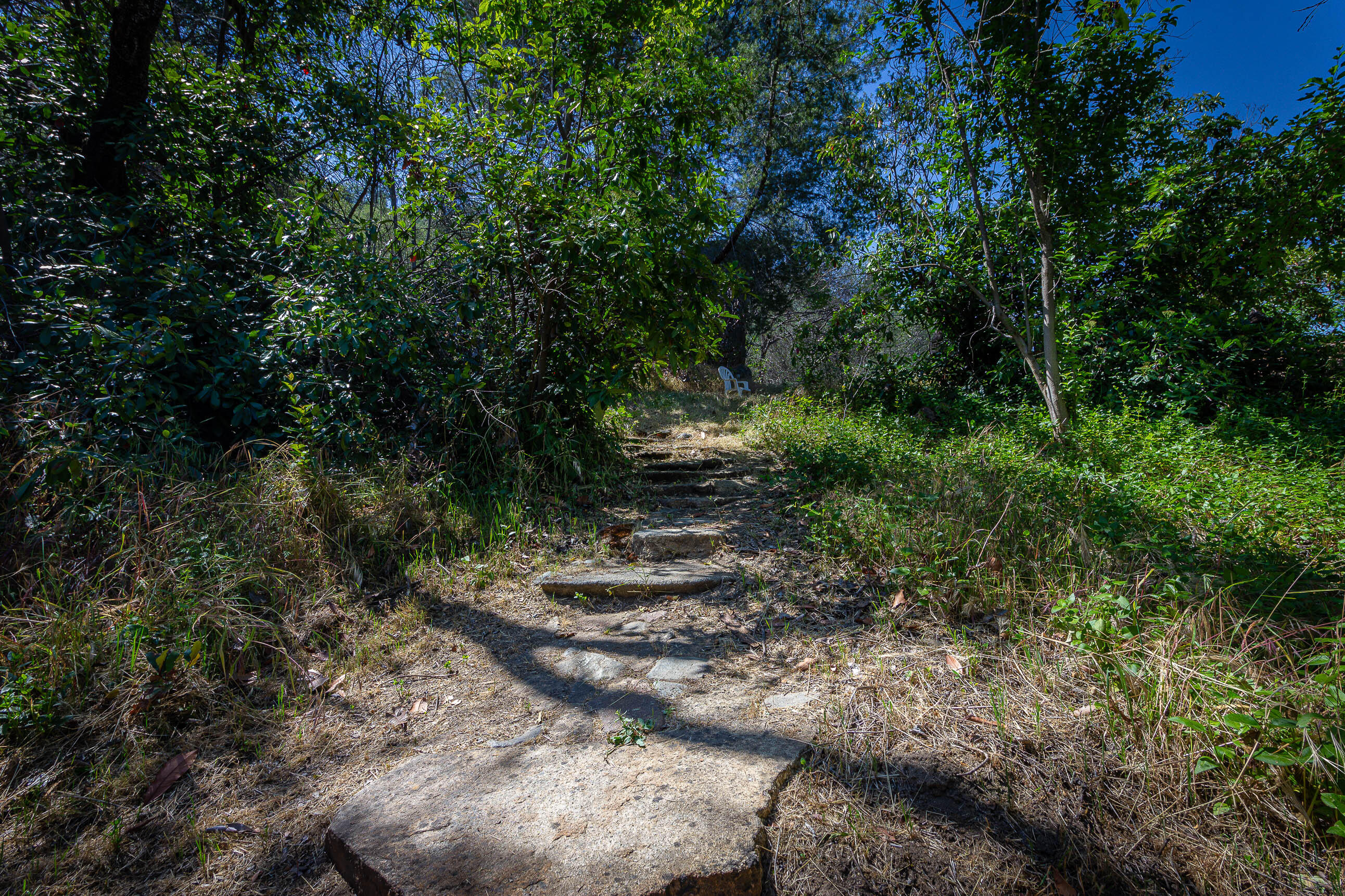 41518 Sierra Drive Three Rivers, CA 93271 - Photo 7 of 10 IMG_8823-HDR-16