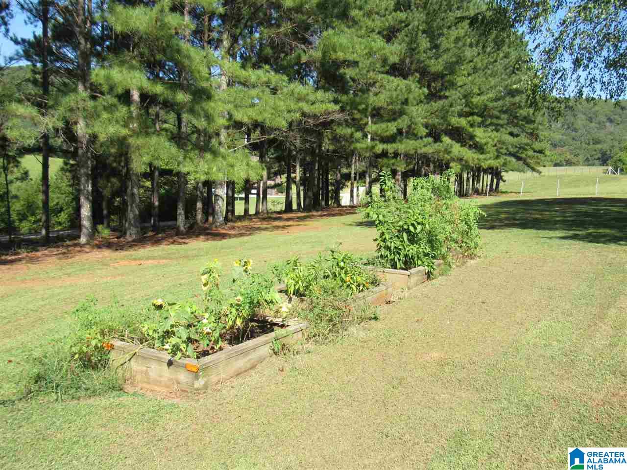 8536 Will Keith Road Trussville, AL 35173 - Photo 33 of 45
