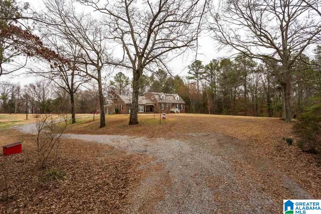 1480 Turner Mill Road Talladega, AL 35160 - Photo 4 of 46