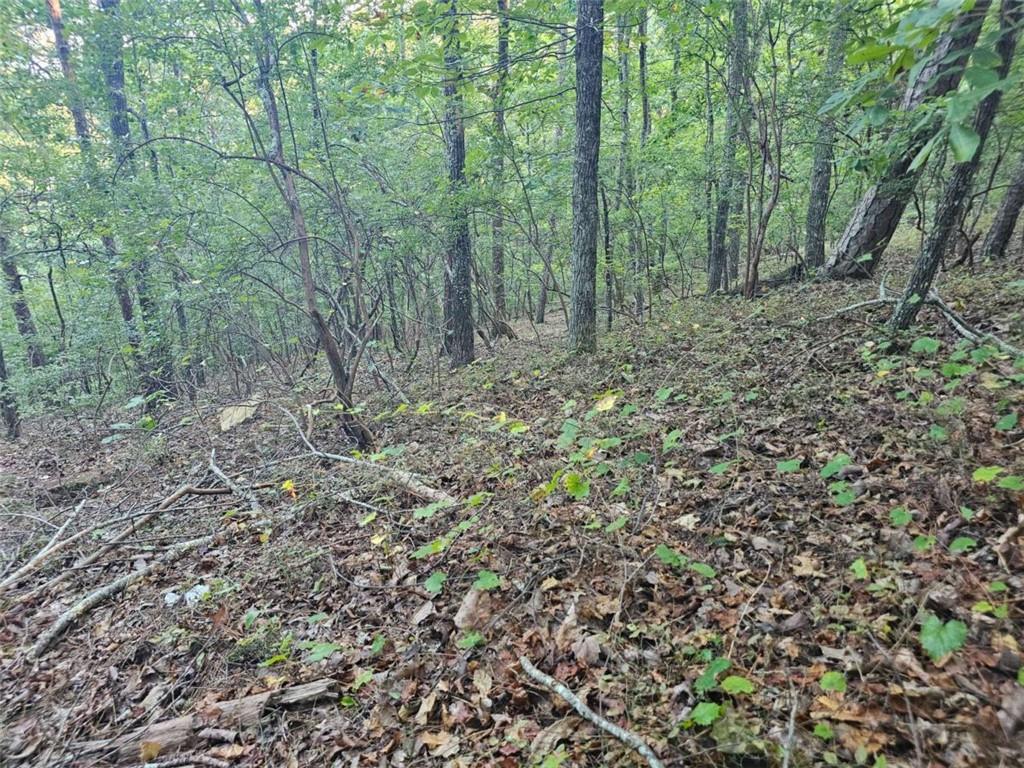 391 Meteor Court Ranger, GA 30734 - Photo 18 of 26 Gallery Image 18