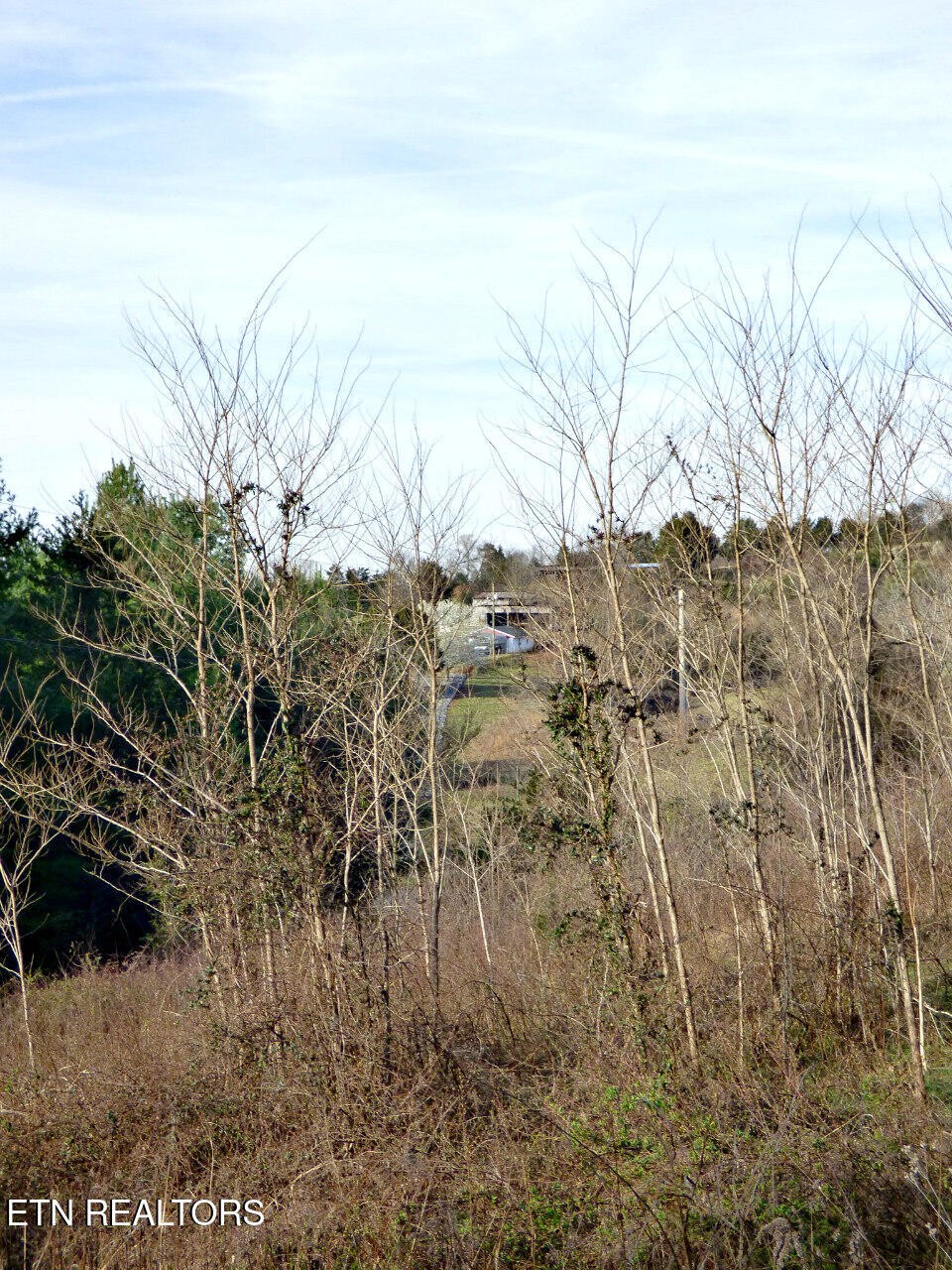 1 Mutton Hollow Road White Pine, TN 37890 - Photo 3 of 6 Gallery Image 3
