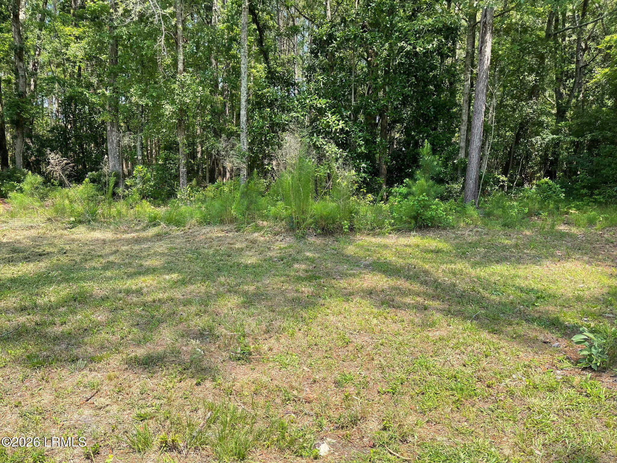 187 Graham Hall Road Ridgeland, SC 29936 - Photo 7 of 9 IMG_20260401_153943