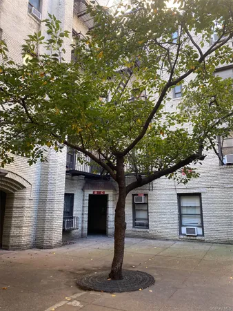 a front view of a house with a tree