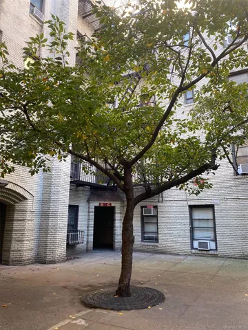 a front view of a house with a tree