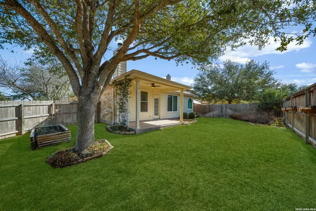 a view of a house with backyard and a tree