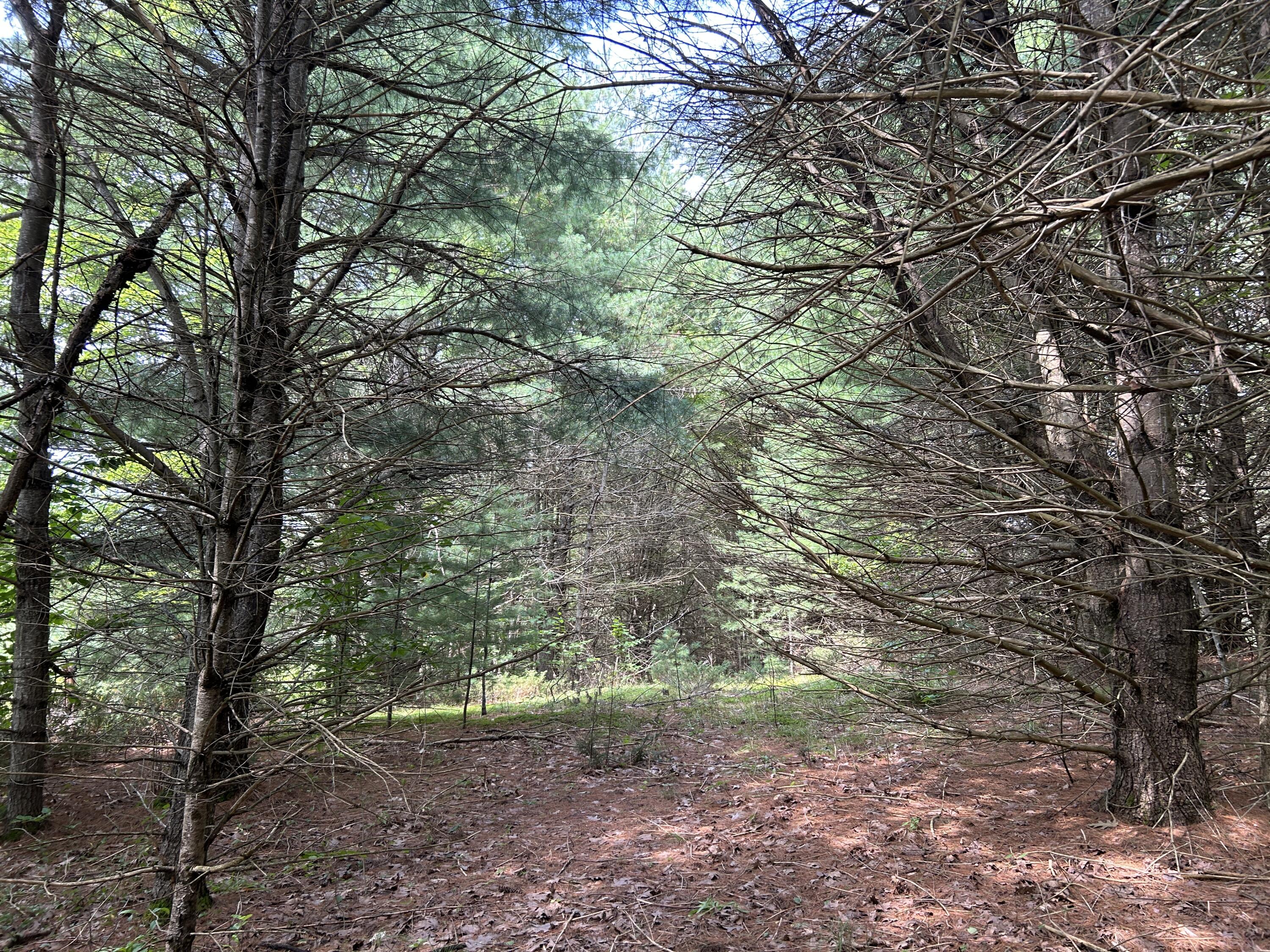 M12-lot10 Thorndike Road Unity, ME 04988 - Photo 1 of 16 FBF493FB-D9E2-4195-8658-3AFD4A2756FF
