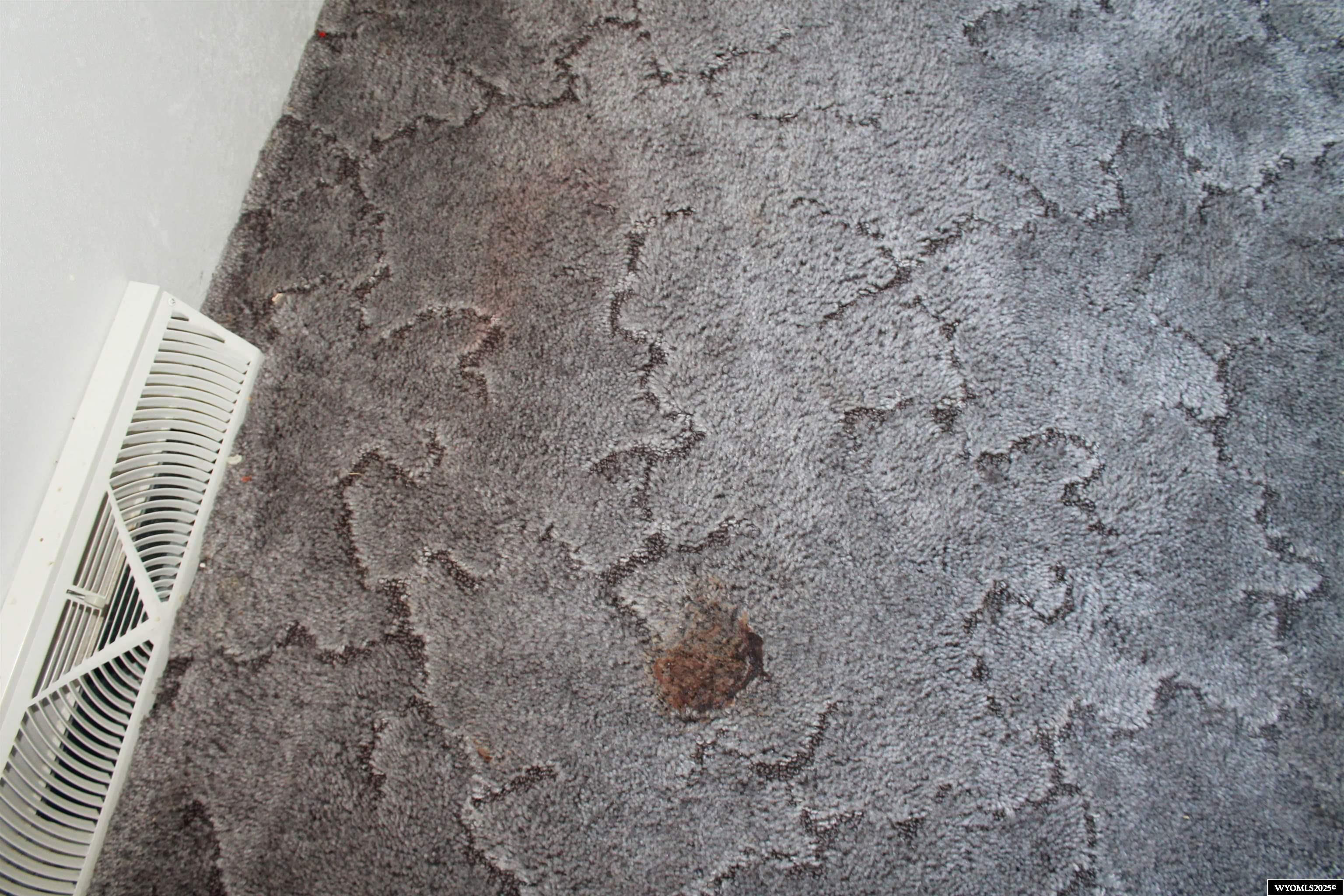 387 South Missouri Road Shoshoni, WY 82649 - Photo 14 of 47