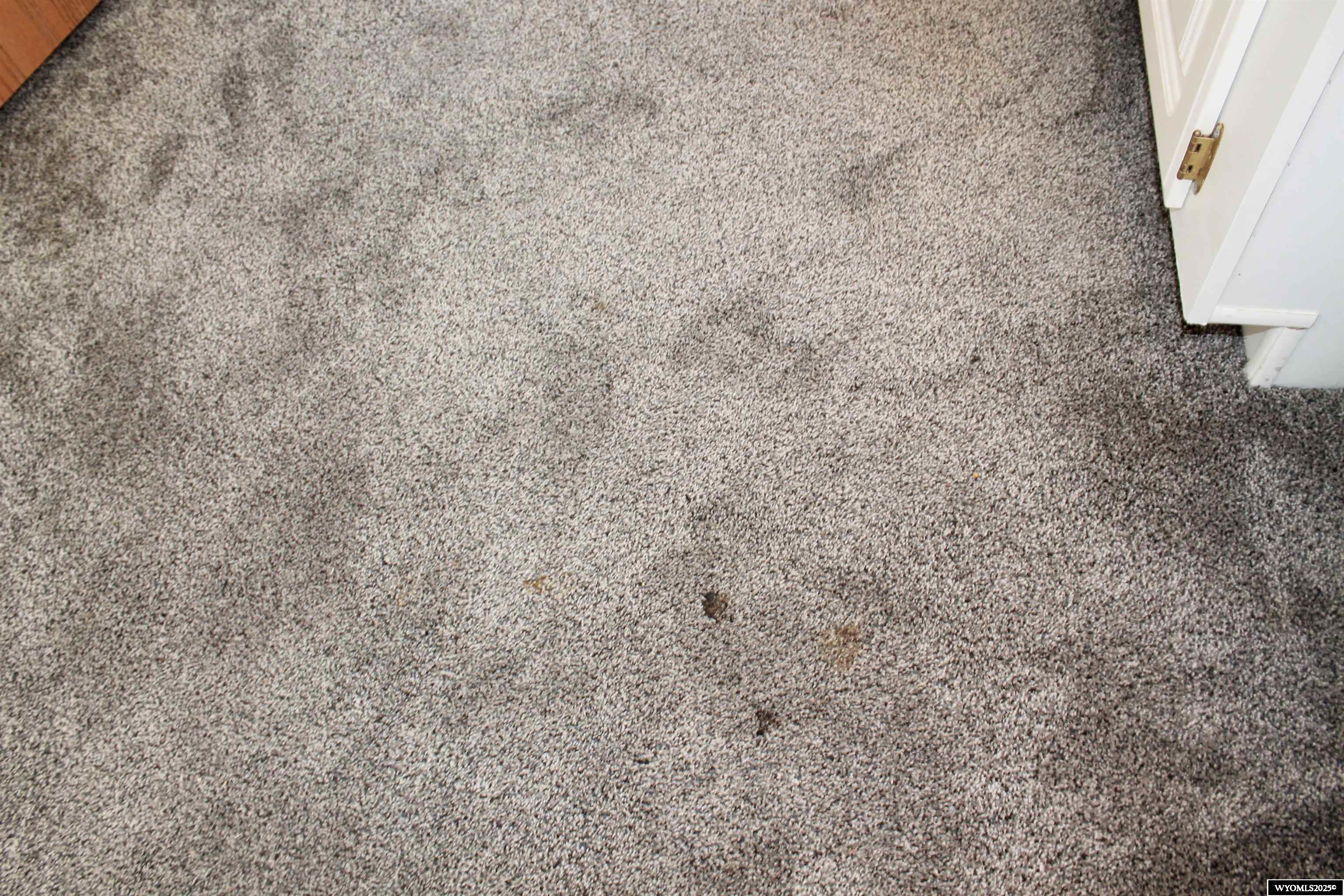 387 South Missouri Road Shoshoni, WY 82649 - Photo 30 of 47