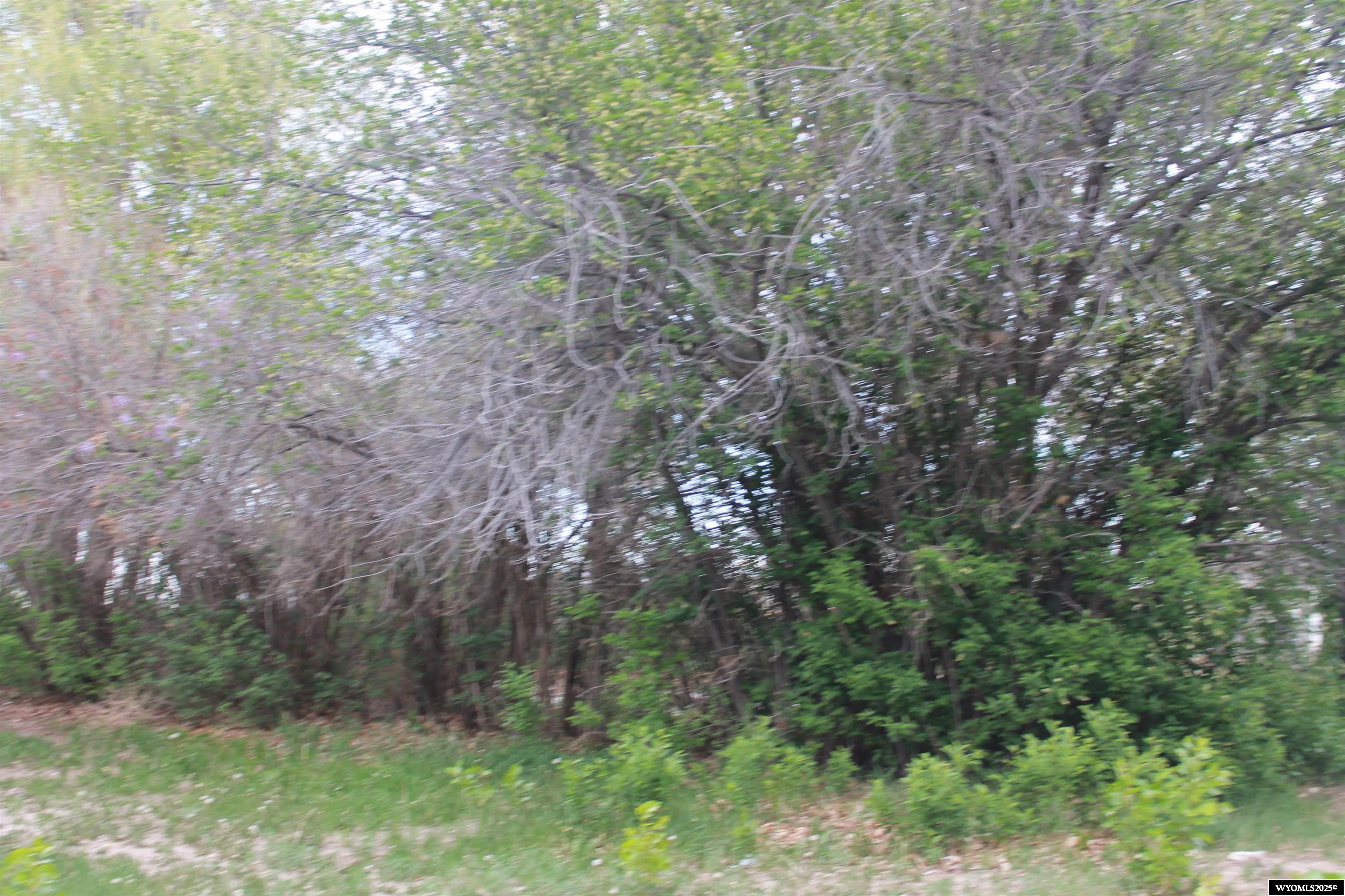 387 South Missouri Road Shoshoni, WY 82649 - Photo 38 of 47