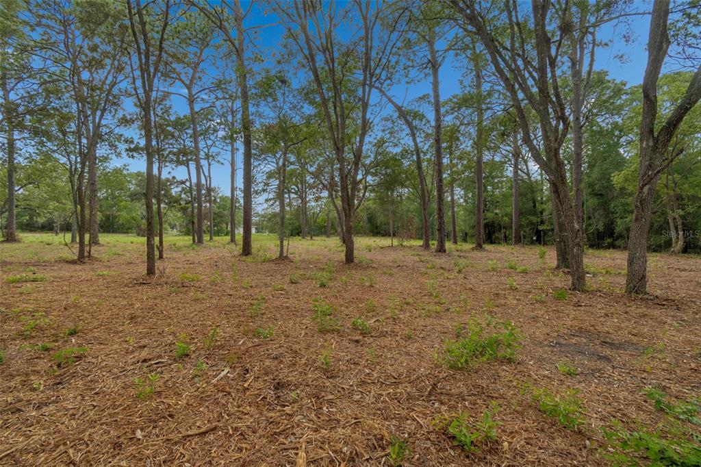 Grove Road Brooksville, FL 34613 - Photo 11 of 26
