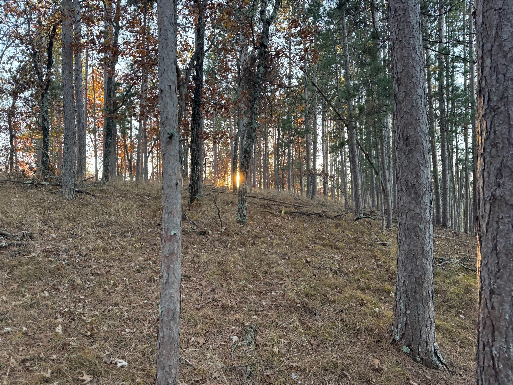 Lot 4 Big Sand Road Minong, WI 54859 - Photo 27 of 38