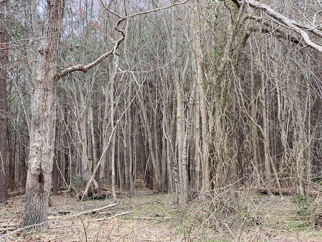 Craig Mill Road, Unit B2 Kenbridge, VA 23944 - Photo 12 of 14 Gallery Image 12