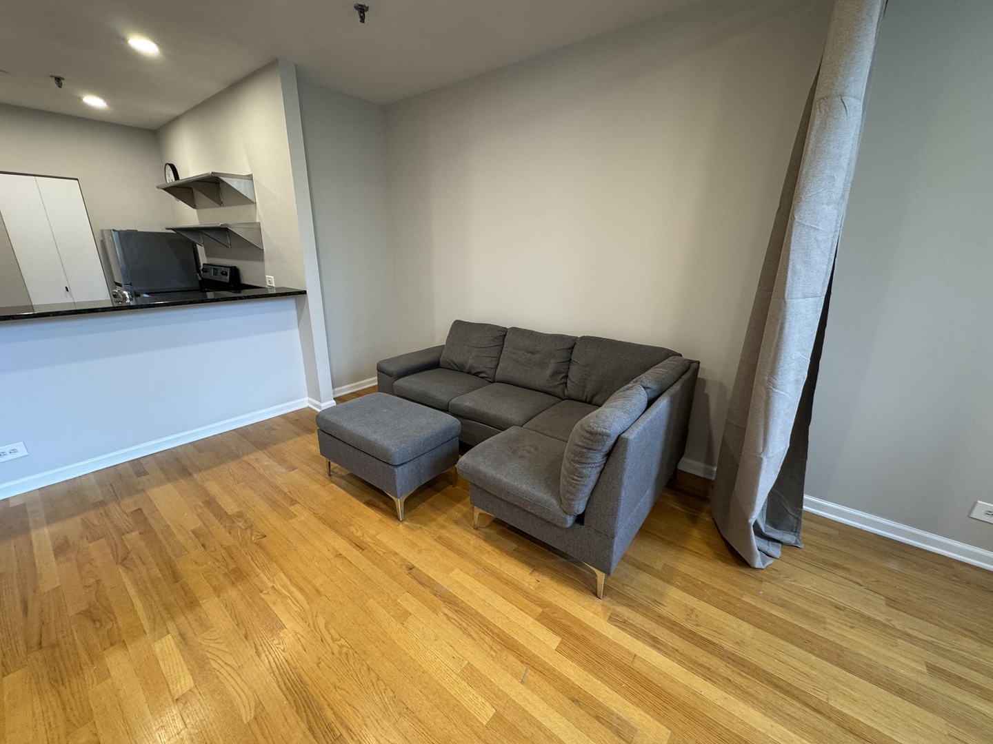 680 South Federal Street, Unit 903 Chicago, IL 60605 - Photo 6 of 27 a living room with furniture and a wooden floor