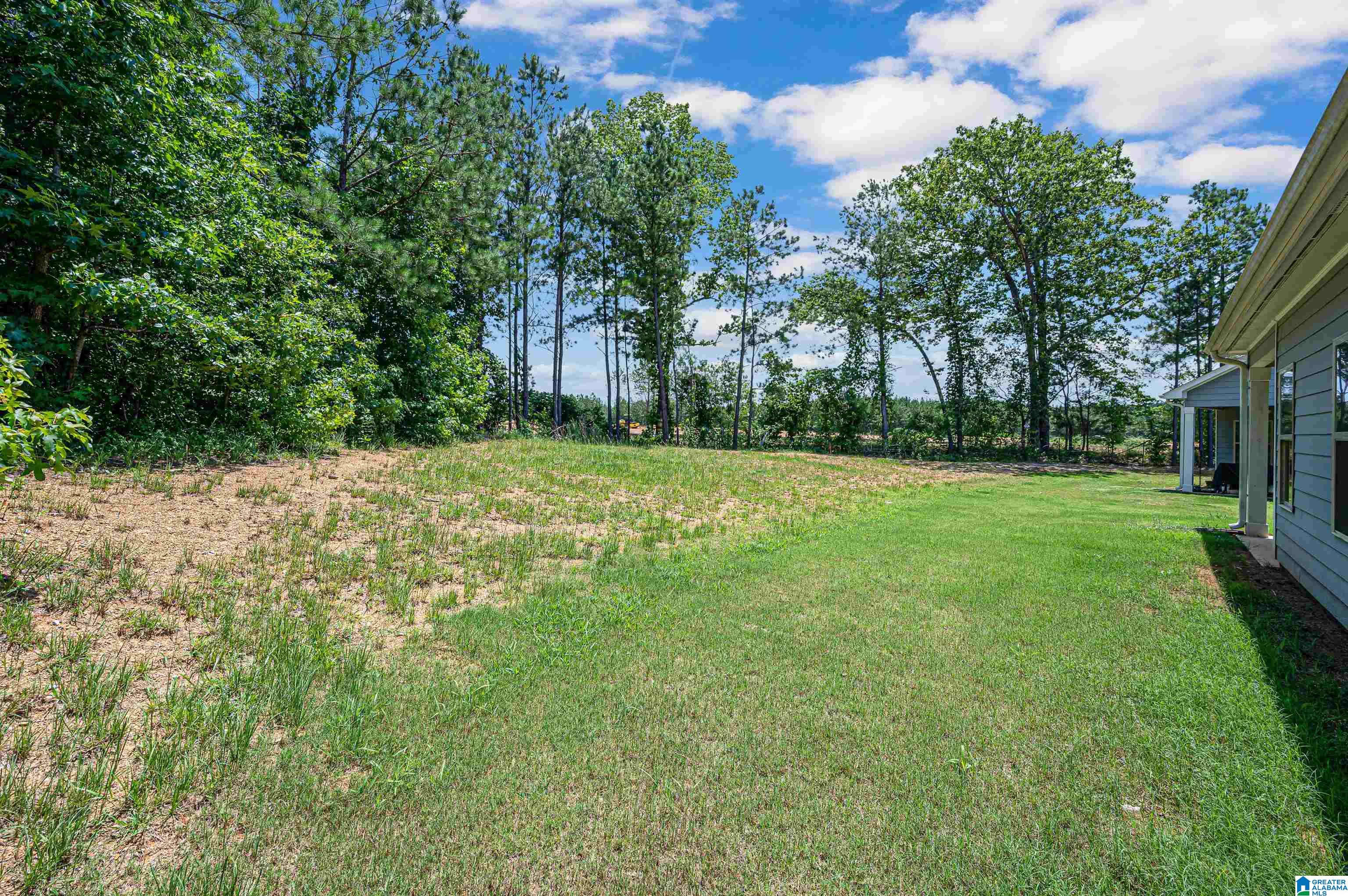 735 Ridgeway Avenue Columbiana, AL 35051 - Photo 33 of 35