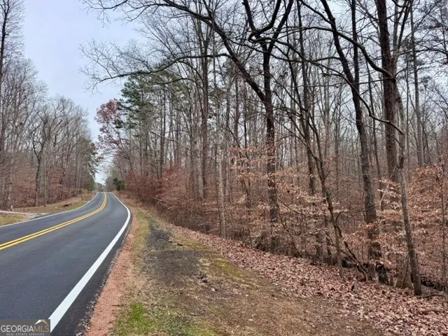 a view of a yard with large trees