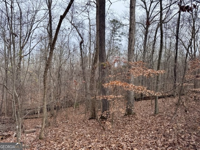 4260 Joe Chandler Road Gillsville, GA 30543 - Photo 4 of 6 a view of outdoor space