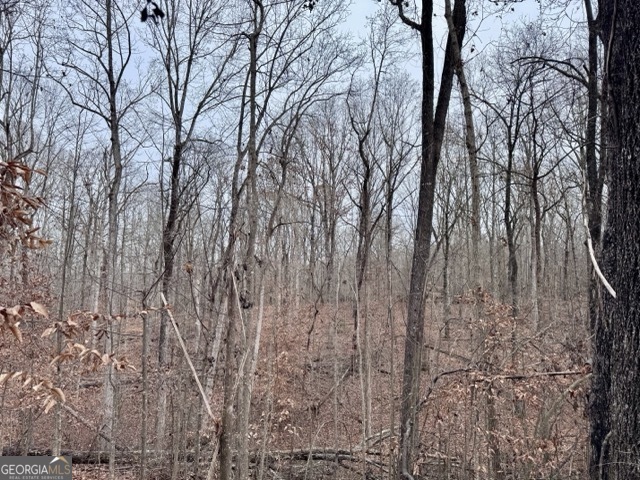 4260 Joe Chandler Road Gillsville, GA 30543 - Photo 5 of 6 a view of forest