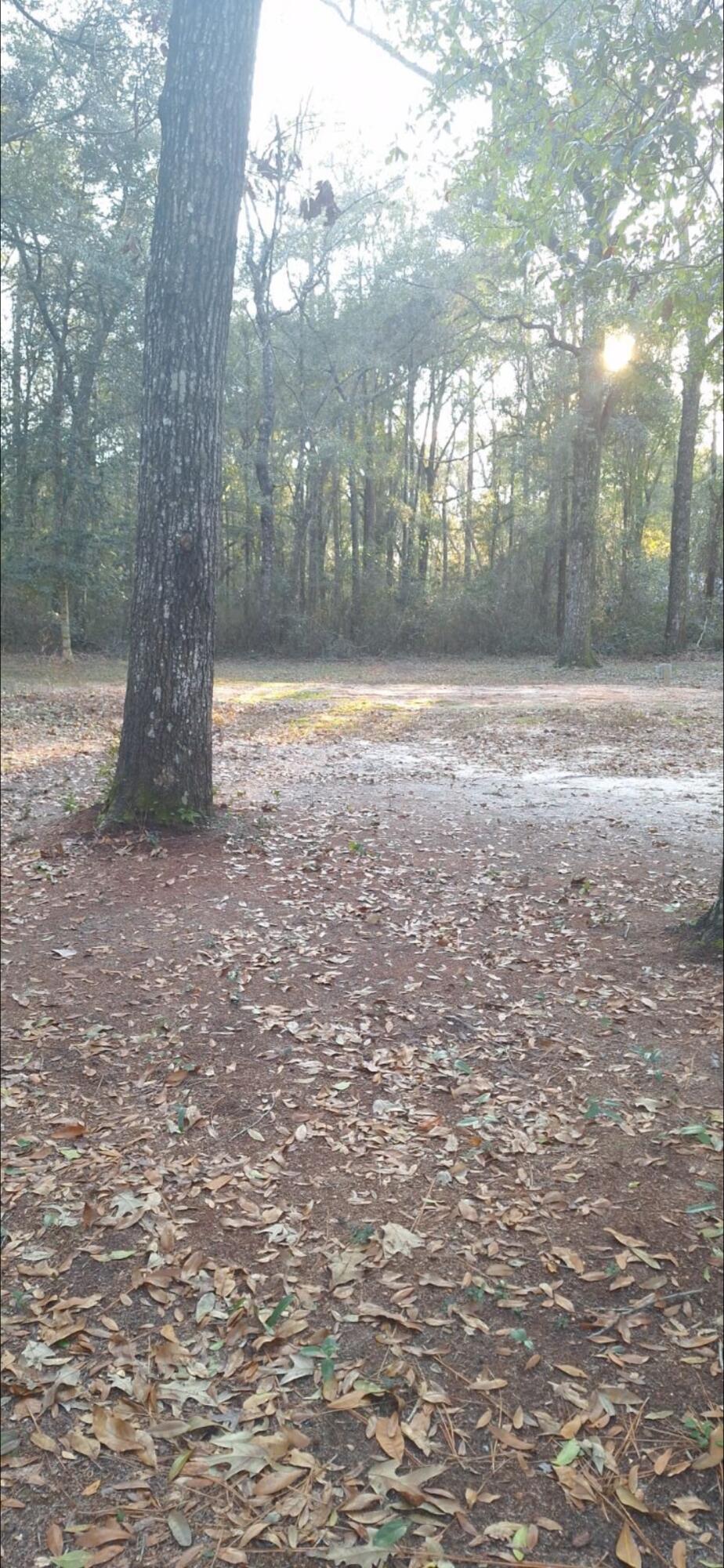 129 Pipers Landing Road DeFuniak Springs, FL 32433 - Photo 15 of 19 IMG_8055 (1)