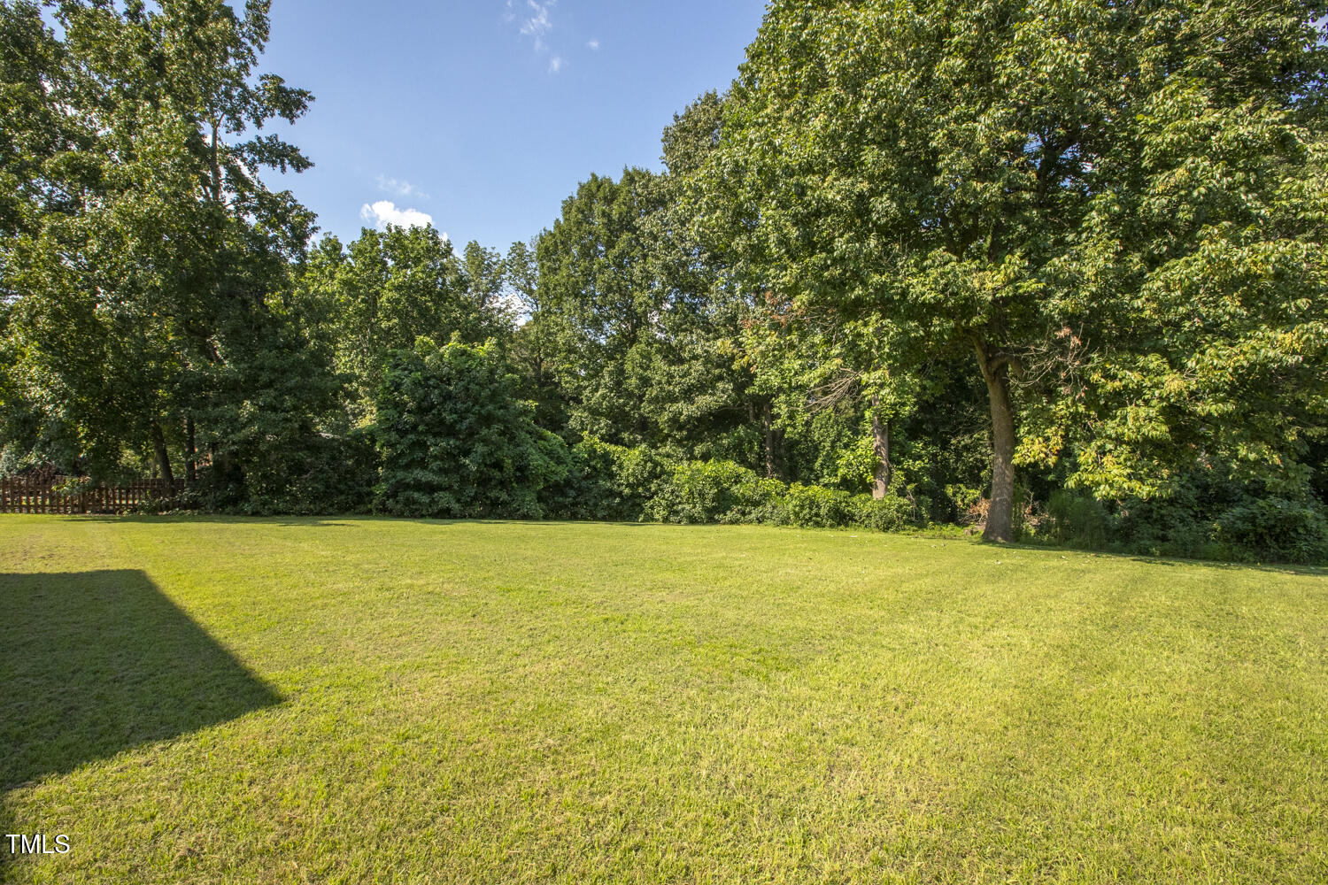 6305 Silver Spring Court Willow Spring, NC 27592 - Photo 12 of 15 Yard