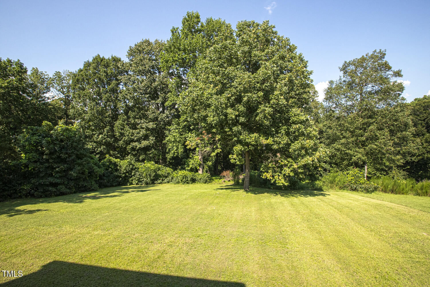 6305 Silver Spring Court Willow Spring, NC 27592 - Photo 13 of 15 012