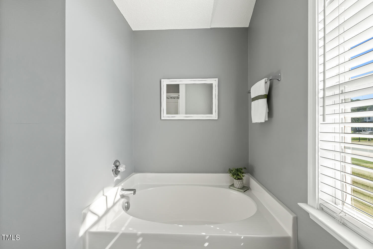 6305 Silver Spring Court Willow Spring, NC 27592 - Photo 9 of 15 Garden Tub