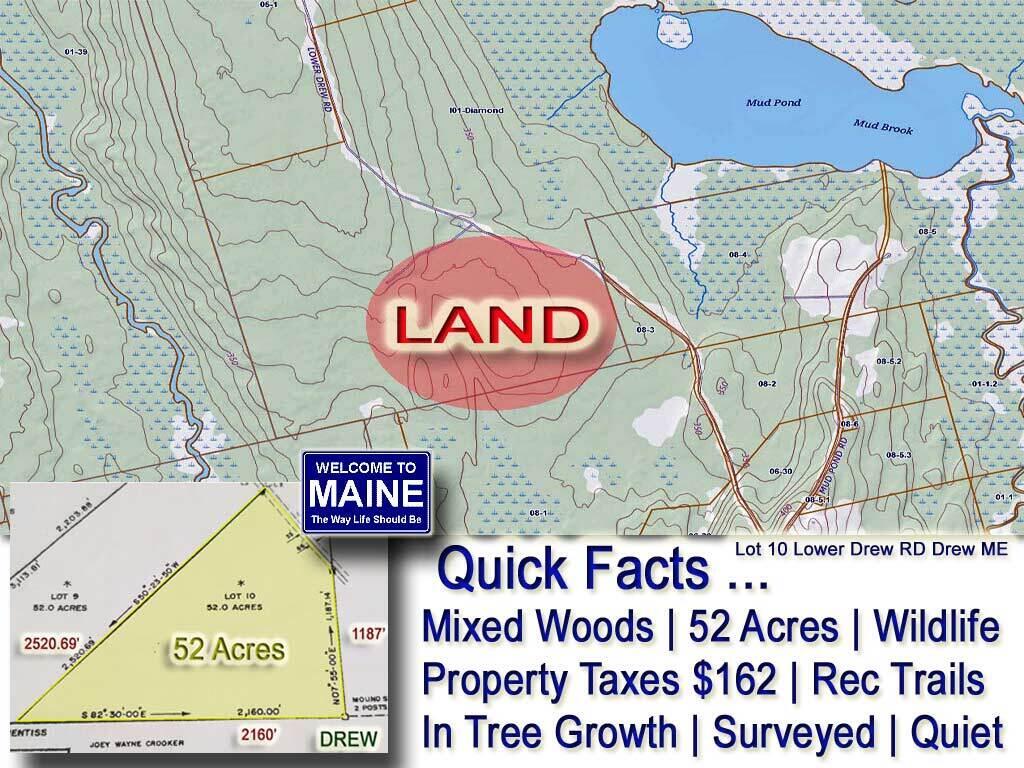 Lot 10 Lower Drew Road Kingman, ME 04451 - Photo 1 of 8 Drews-Land-Woodlot-Mooers-R