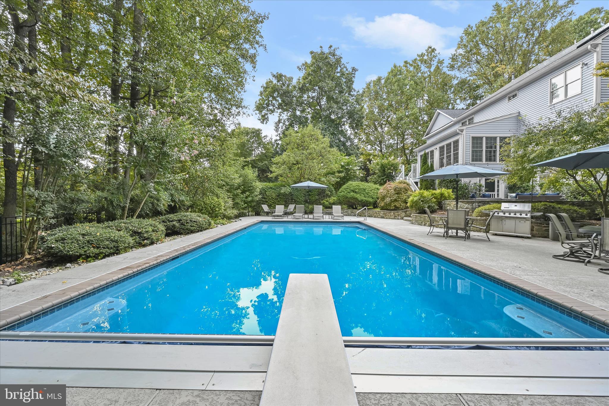 20521 Riggs Hill Way Brookeville, MD 20833 - Photo 25 of 34 Diving Board